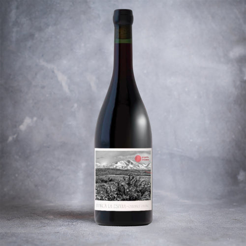 Proyecto Circulares Finca La Espina Cabernet Franc