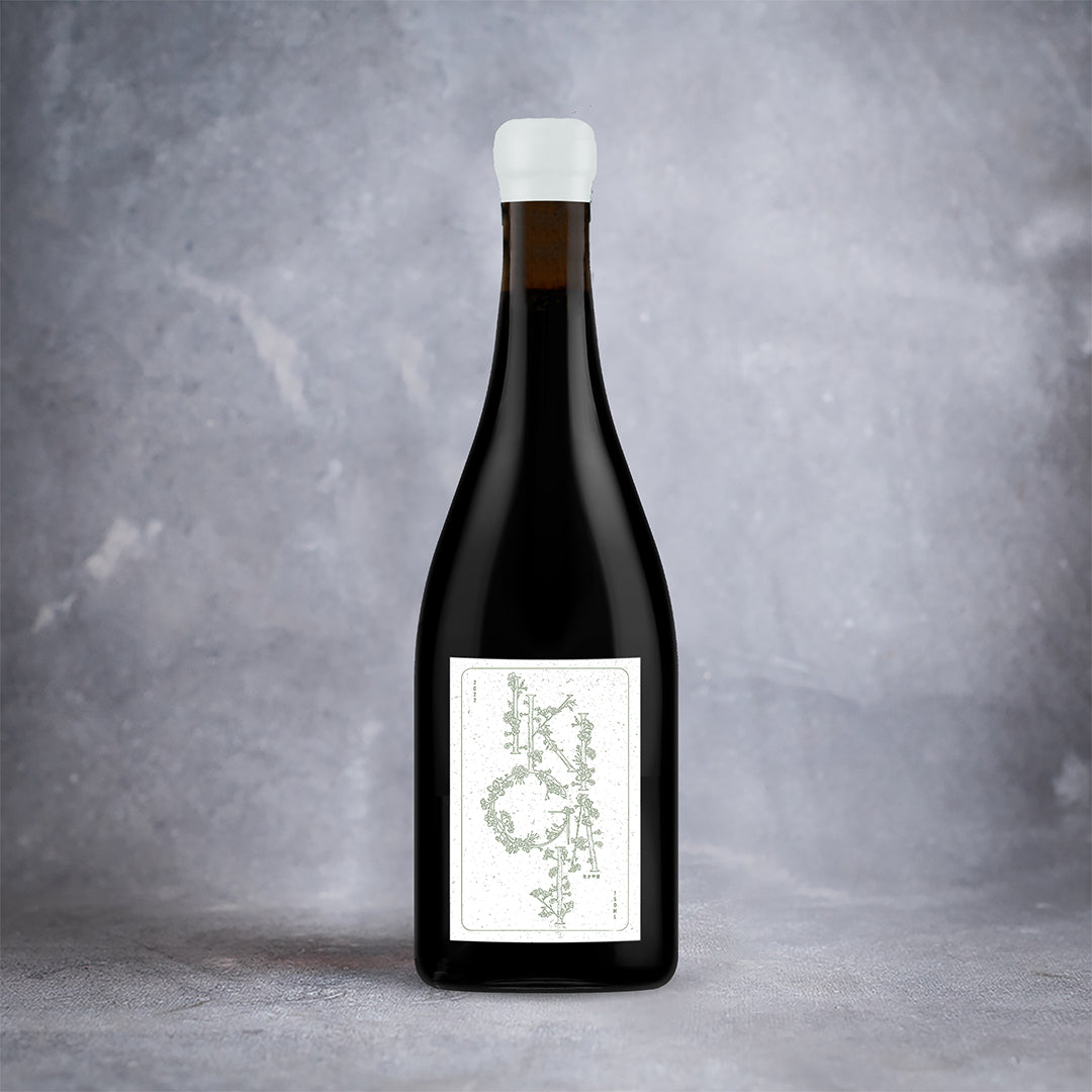 Universo LB - Ikigai